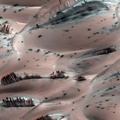أشجار على سطح المريخ