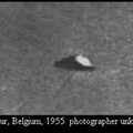 1955 - بلجيكا - 1