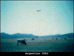 1981 - الأرجنتين